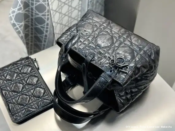Tony Luxuries Toujours diro Bag-23*15*15CM Small 0403